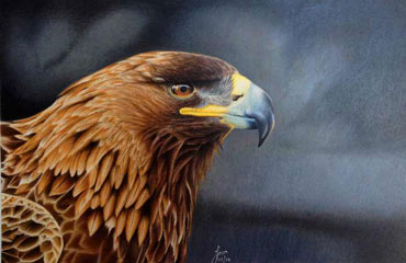 Drawing Academy Students Gallery